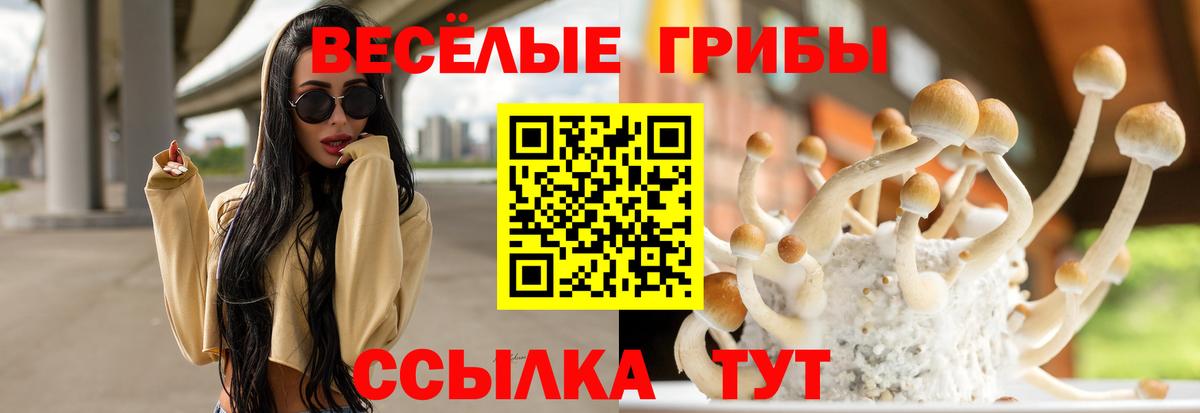 Галлюциногенные грибы мицелий  Вход с VPN  Галлюциногенные грибы GOLDEN TEACHER  Элиста 