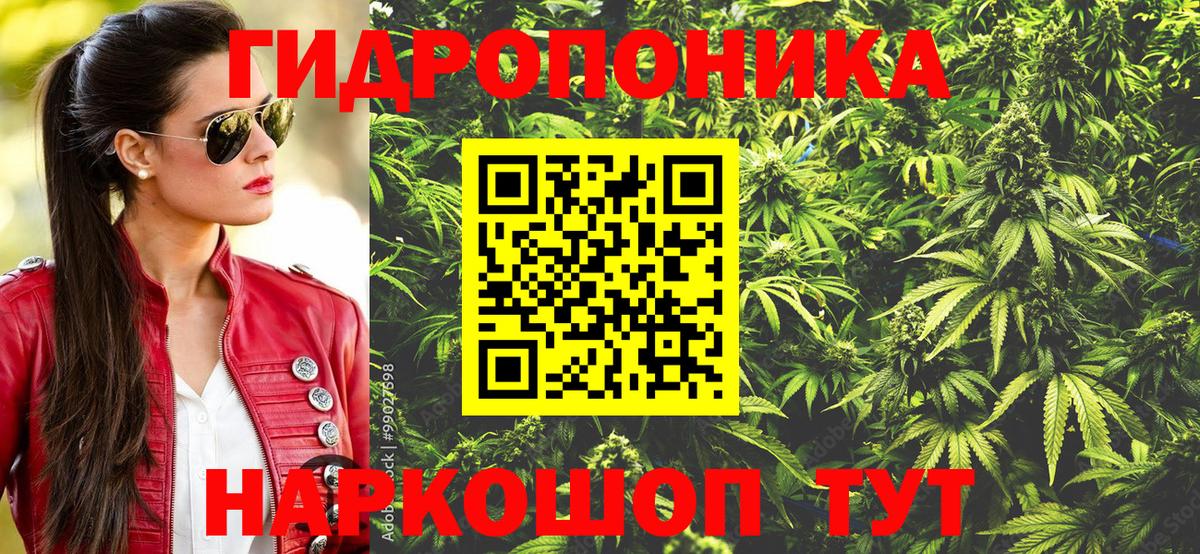 Бошки Шишки LSD WEED Элиста